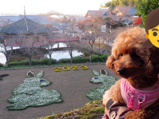 f:id:ononprg:20221128234921j:image f:id:ononprg:20221128234921j:image