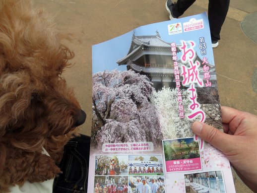 【通販 人気】 目で見る 生駒山上 （逢香の華やぐ大和 大和郡山・生駒の100年 人文