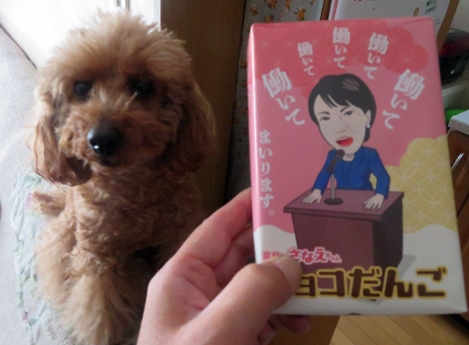 奈良土産でまさかの遭遇！？「奈良のさなえちゃんチョコだんご」が想像