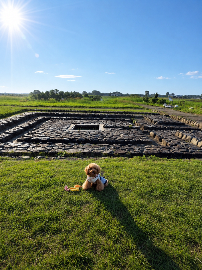 愛犬と行く令和8年8月8日(土)世界遺産[飛鳥・藤原の宮都]の町、天気状況と談山神社献燈祭（ライトアップ） - 犬との旅行プランナー