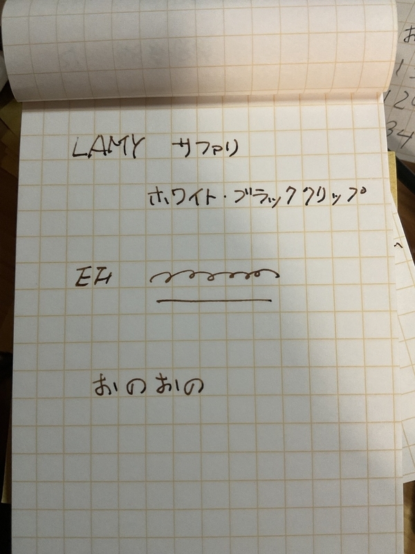 試し書きした写真