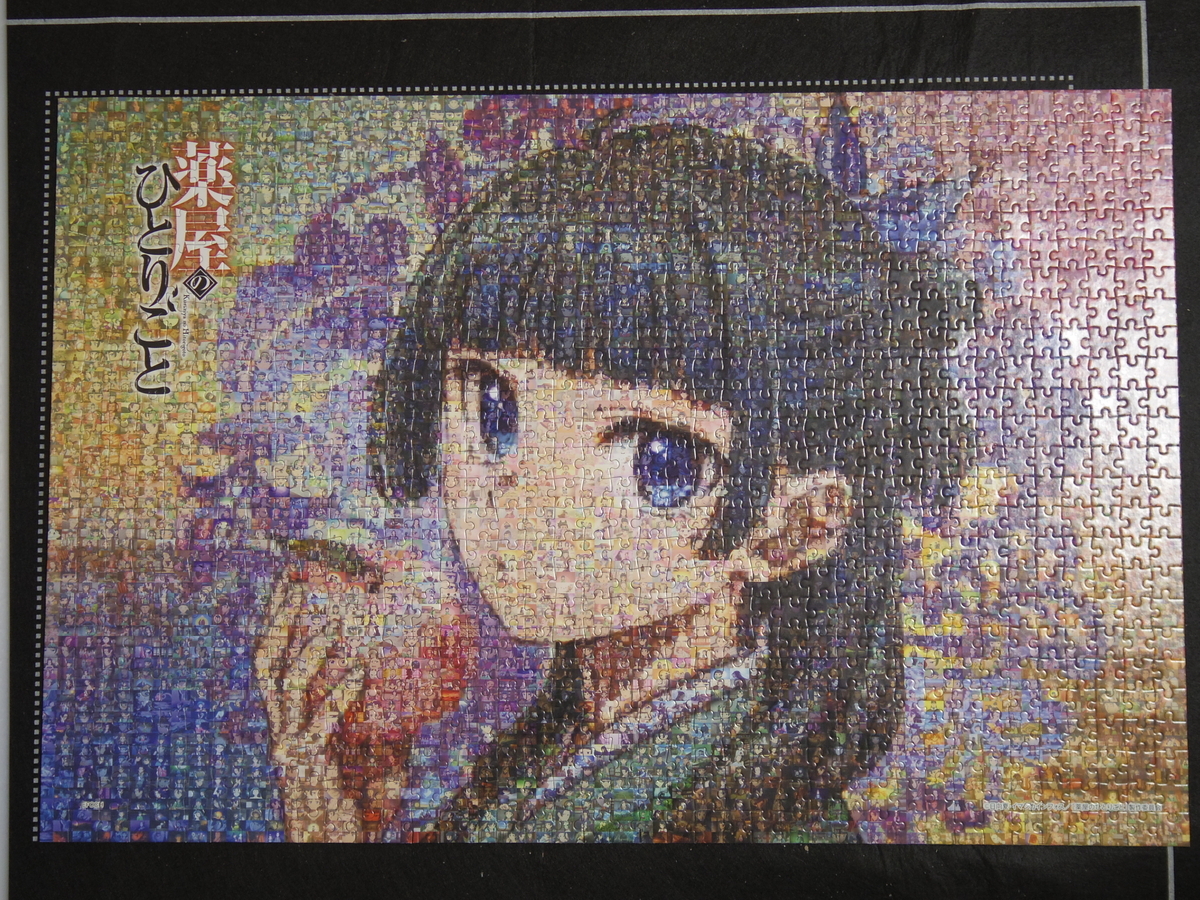 やっと完成したジグソー・パズルの写真