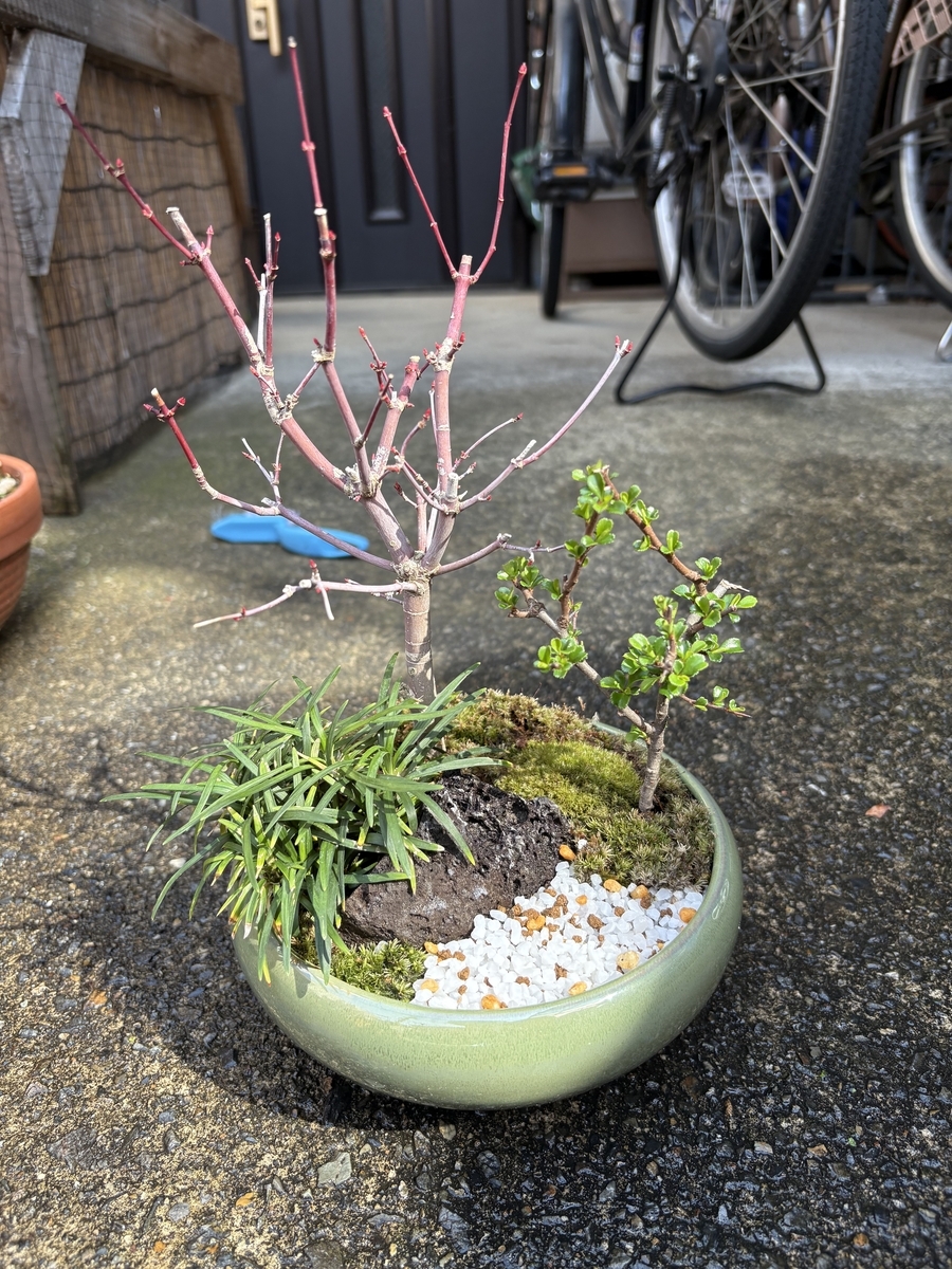 左：先週の写真
