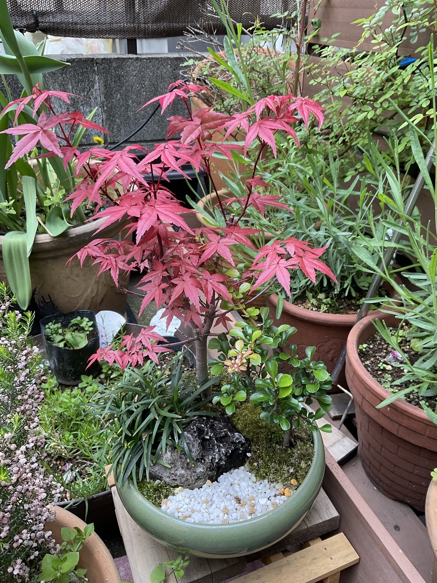 今回
