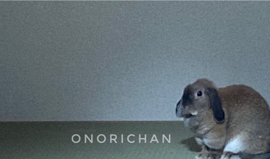 f:id:onorichan:20250622215221j:image