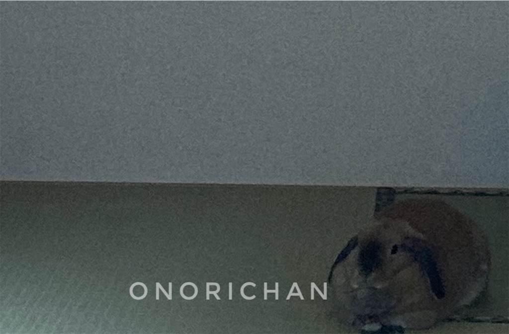 f:id:onorichan:20250623221113j:image