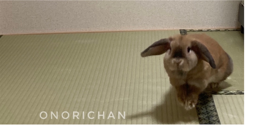 f:id:onorichan:20250626200033j:image