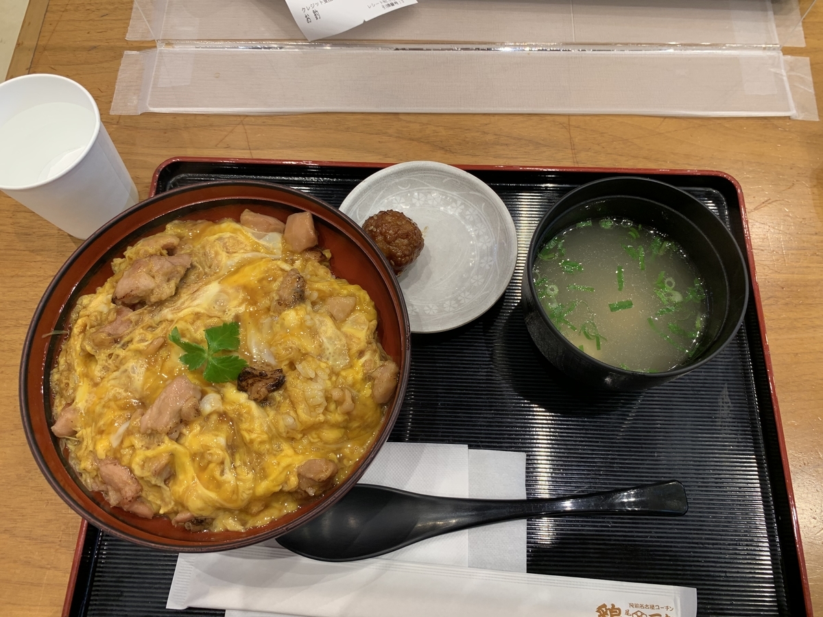 f:id:onosho1218:20200609003445j:plain f:id:onosho1218:20200609003445j:plain