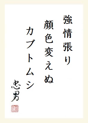 f:id:onotadao:20200805163516j:plain