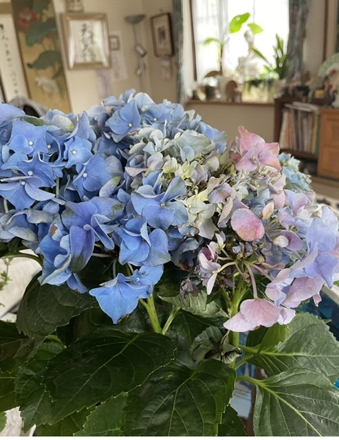 f:id:onotadao:20210610162350j:plain