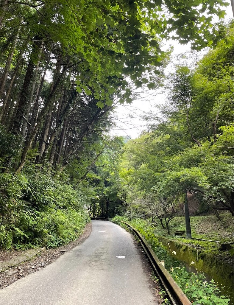 f:id:onotadao:20210804164021j:image