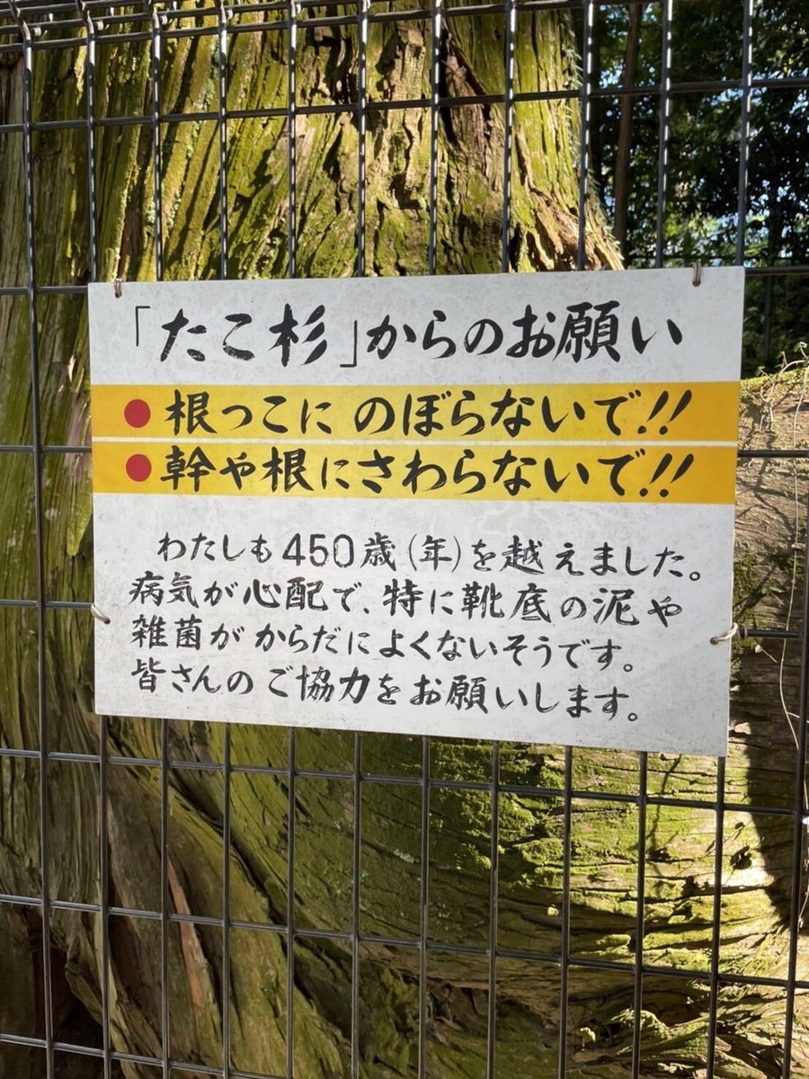 f:id:onotadao:20211027172012j:plain