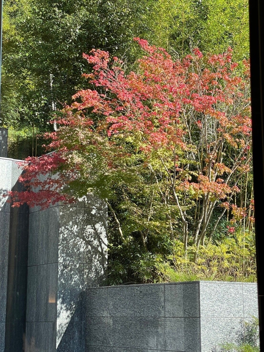 f:id:onotadao:20211109171026j:plain