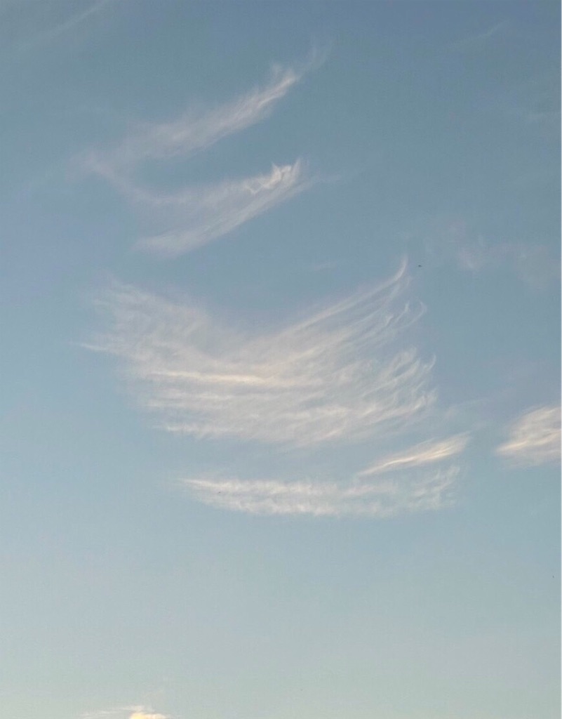 f:id:onotadao:20211117170344j:image