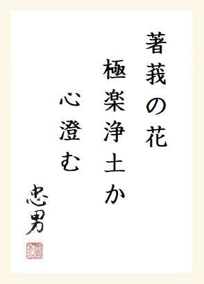 「奥久慈の植物と自然の風景」 小室健 著 著莪の花極楽浄土か心澄む - 小野忠男の俳句ブログ