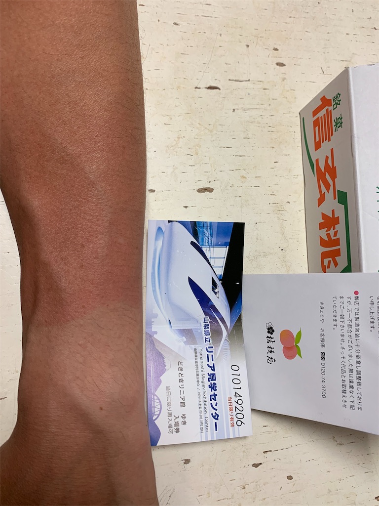 f:id:onoyonn:20190919214758j:image f:id:onoyonn:20190919214758j:image
