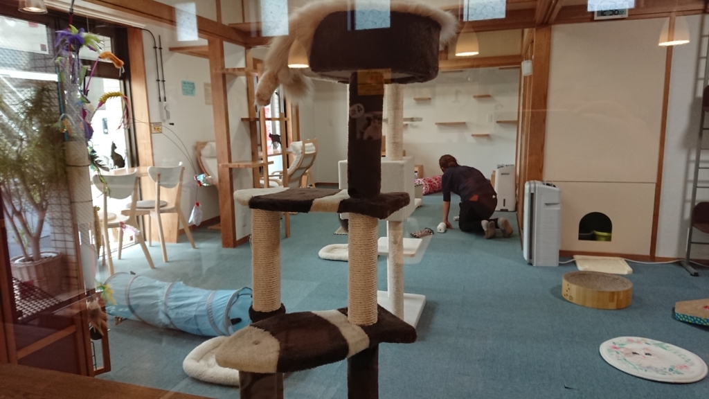 f:id:onsen222:20180317222429j:plain