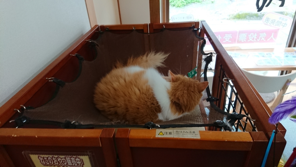 f:id:onsen222:20180317222554j:plain f:id:onsen222:20180317222554j:plain