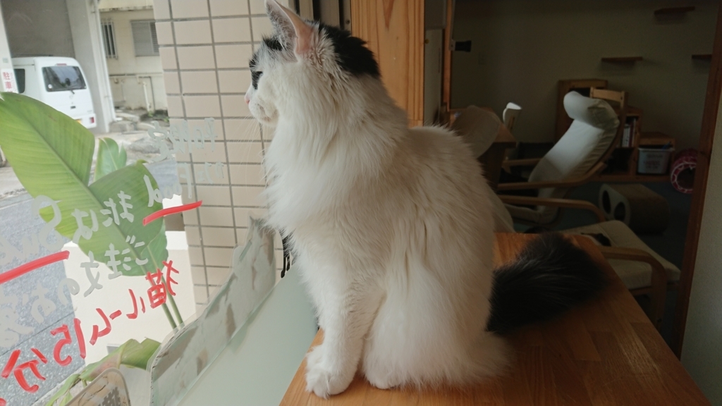 f:id:onsen222:20180317222655j:plain f:id:onsen222:20180317222655j:plain