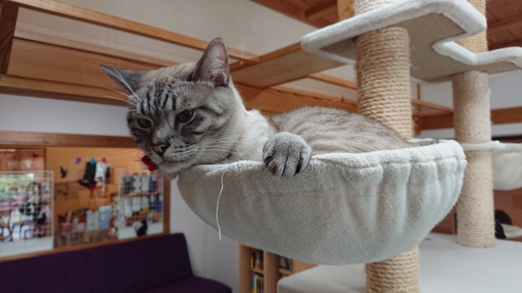 f:id:onsen222:20180317222822j:plain f:id:onsen222:20180317222822j:plain