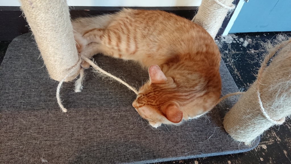 f:id:onsen222:20180930192905j:plain