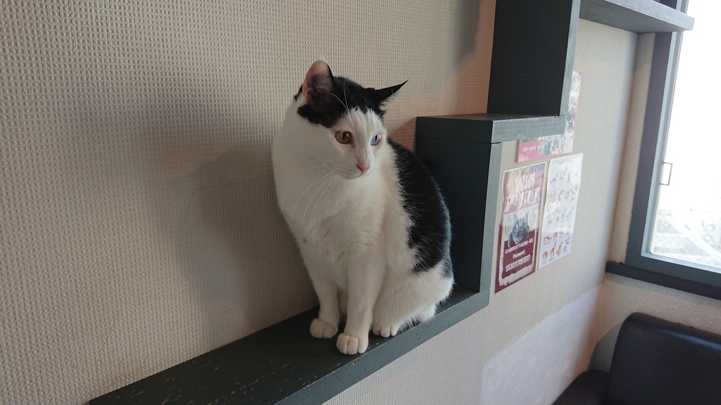 f:id:onsen222:20180930192935j:plain