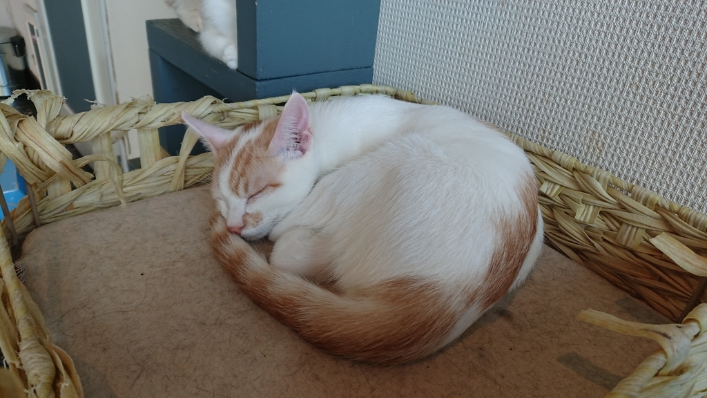 f:id:onsen222:20180930192959j:plain