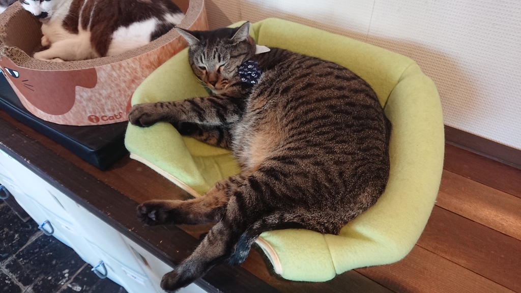 f:id:onsen222:20180930193011j:plain