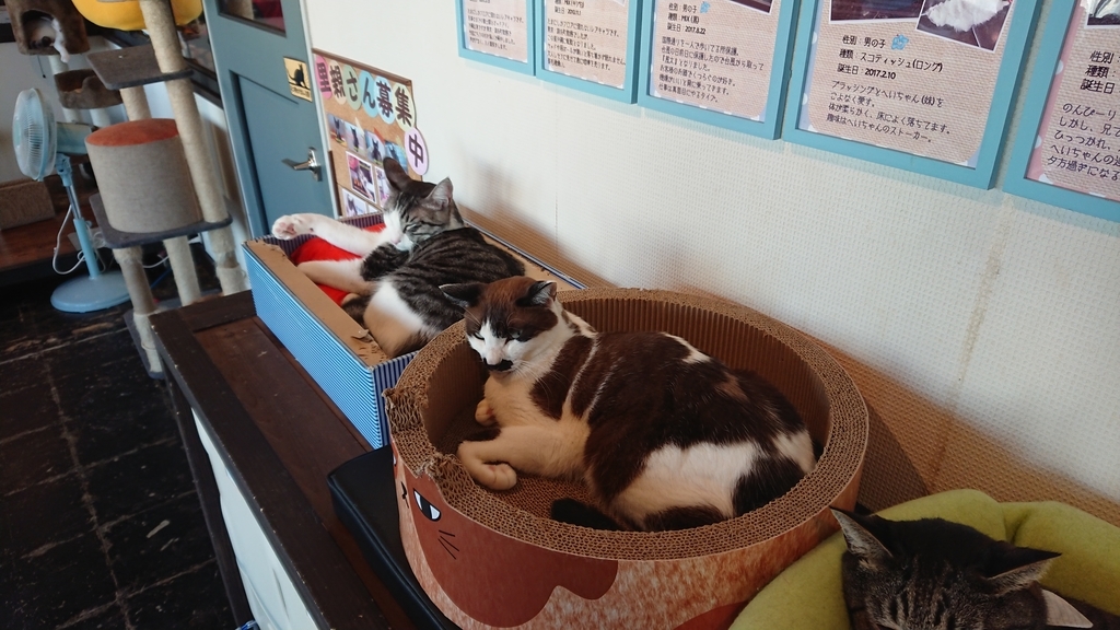 f:id:onsen222:20180930193024j:plain