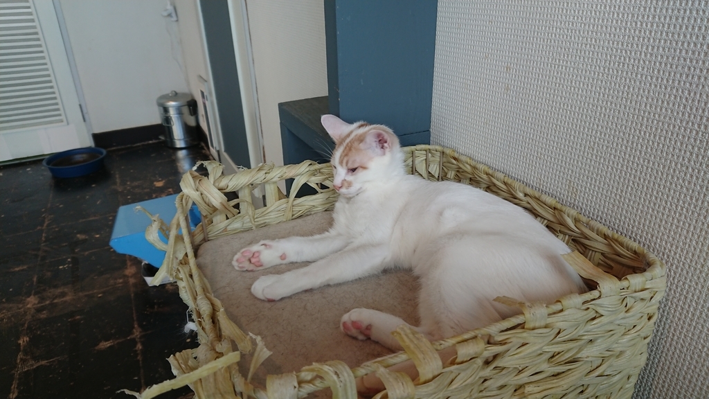 f:id:onsen222:20180930193034j:plain