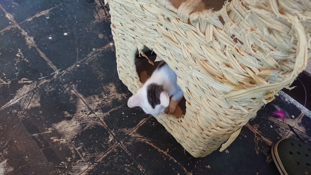 f:id:onsen222:20180930193045j:plain