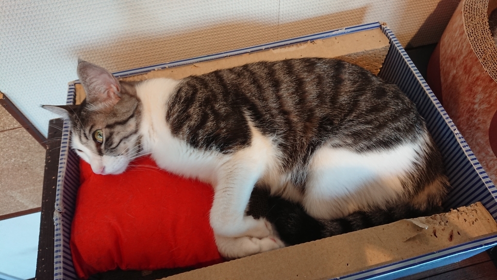 f:id:onsen222:20180930193108j:plain