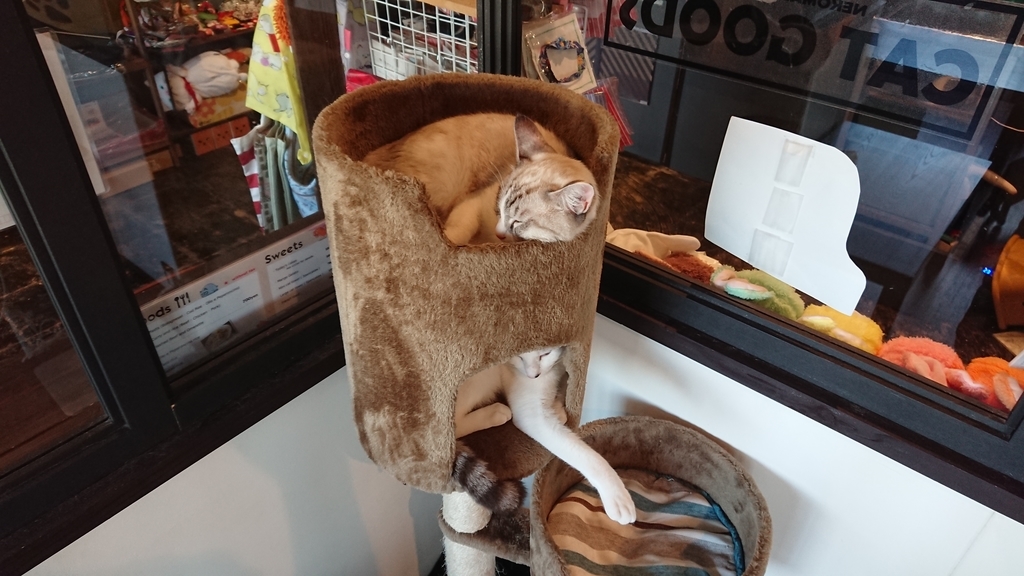 f:id:onsen222:20180930193156j:plain