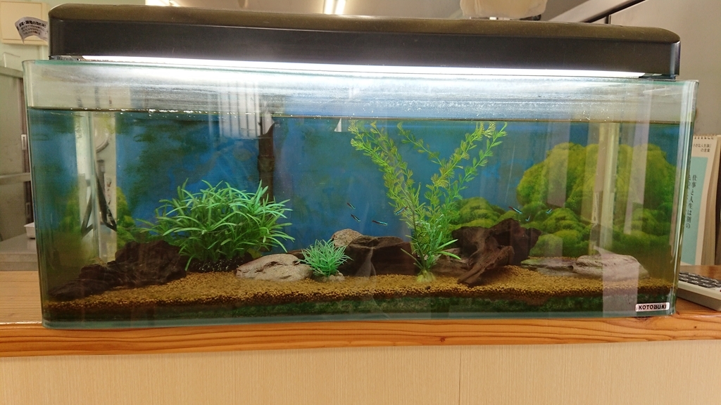 f:id:onsen222:20181116210853j:plain