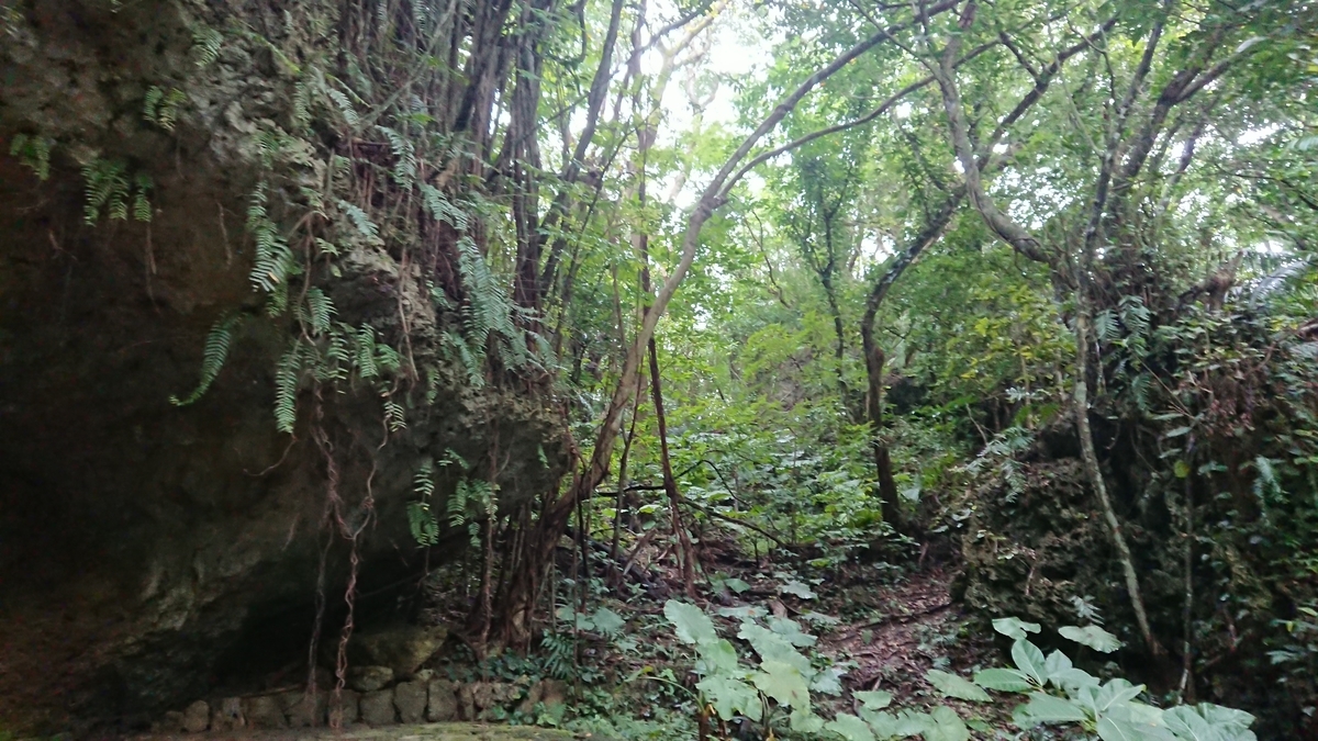 f:id:onsen222:20190517053505j:plain