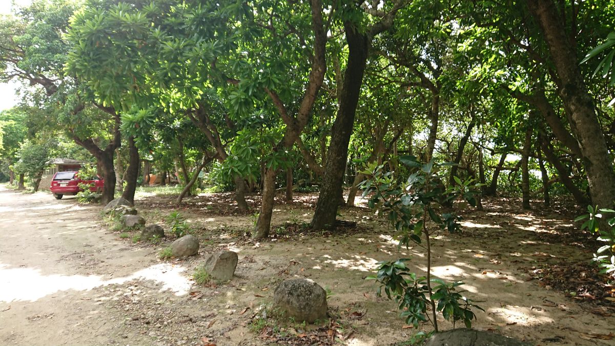 f:id:onsen222:20190912183355j:plain