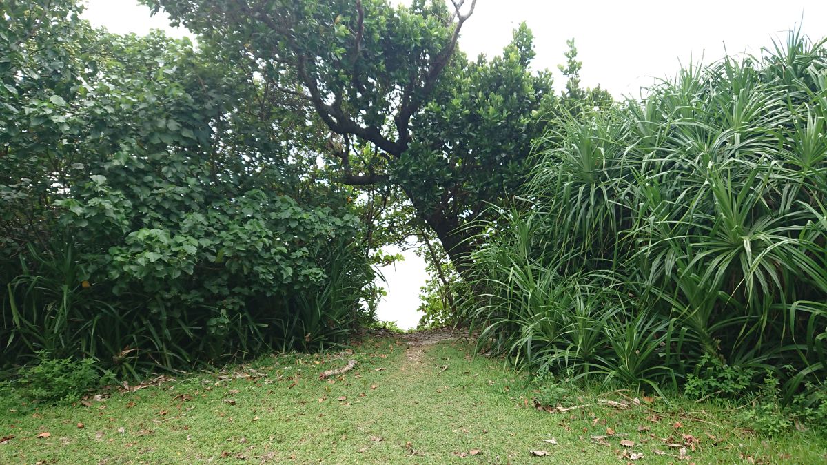 f:id:onsen222:20190912183405j:plain