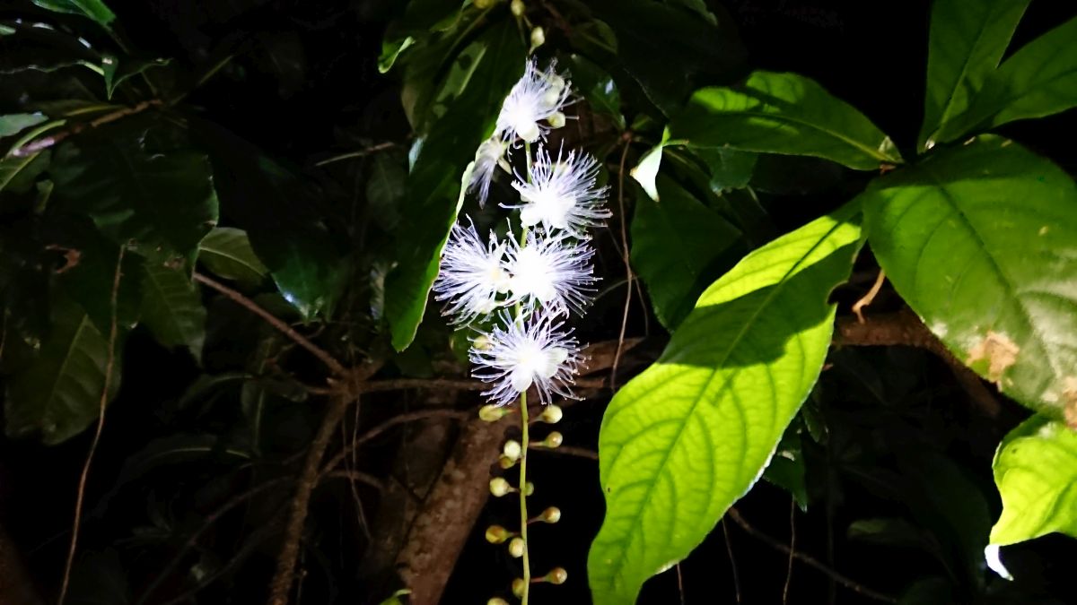 f:id:onsen222:20190912183518j:plain