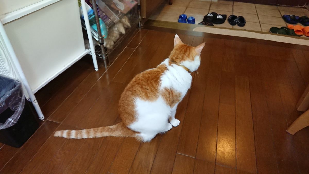 f:id:onsen222:20190912183522j:plain