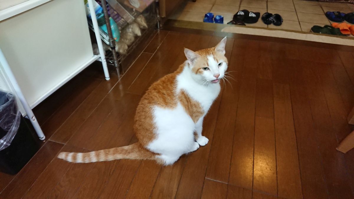 f:id:onsen222:20190912183526j:plain