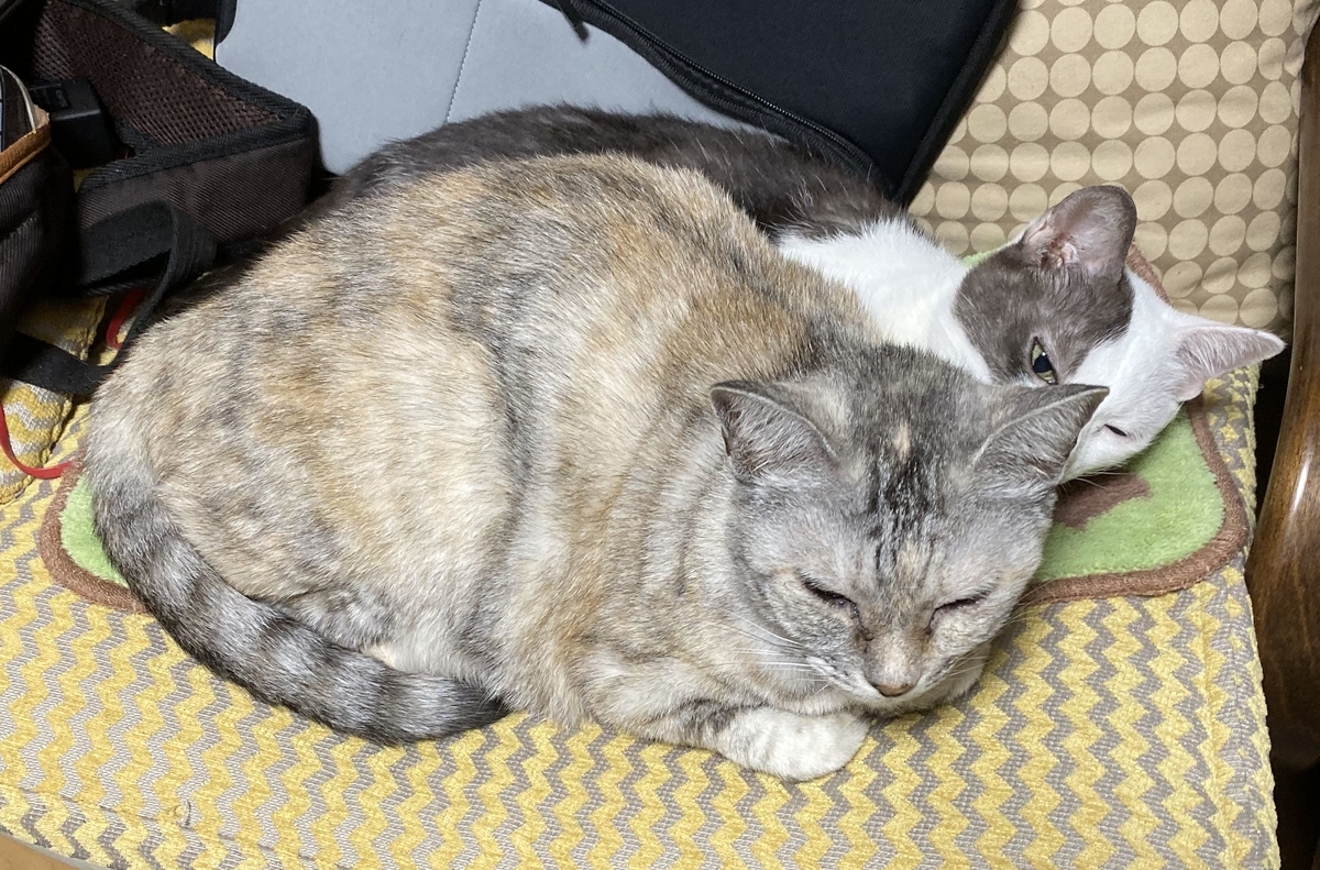 f:id:onsen222:20191027152553j:plain