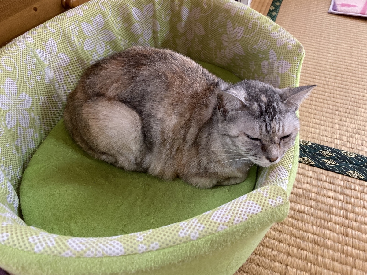 f:id:onsen222:20191027152624j:plain