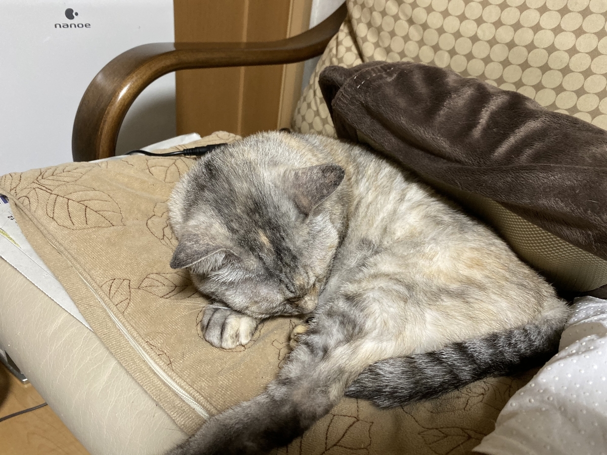 f:id:onsen222:20191027152639j:plain