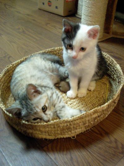 f:id:onsen222:20191027152730j:plain