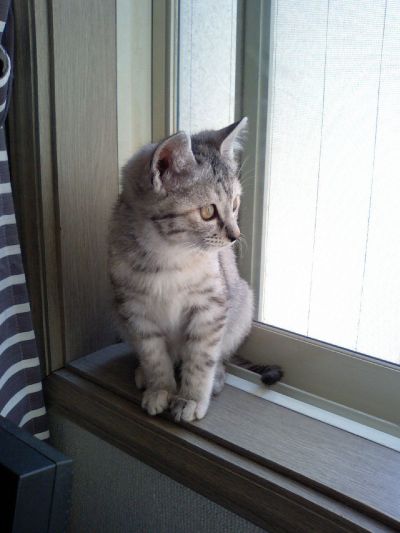 f:id:onsen222:20191027152736j:plain