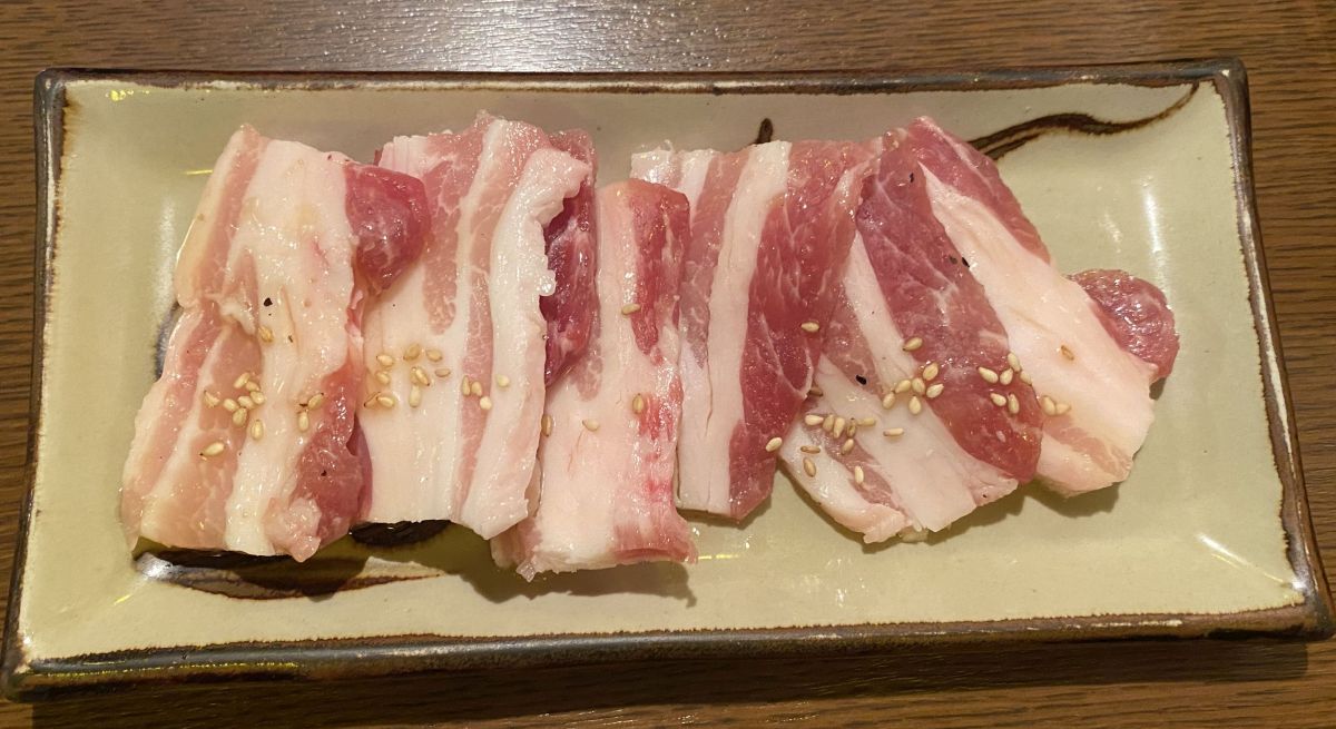 f:id:onsen222:20200105030324j:plain f:id:onsen222:20200105030324j:plain