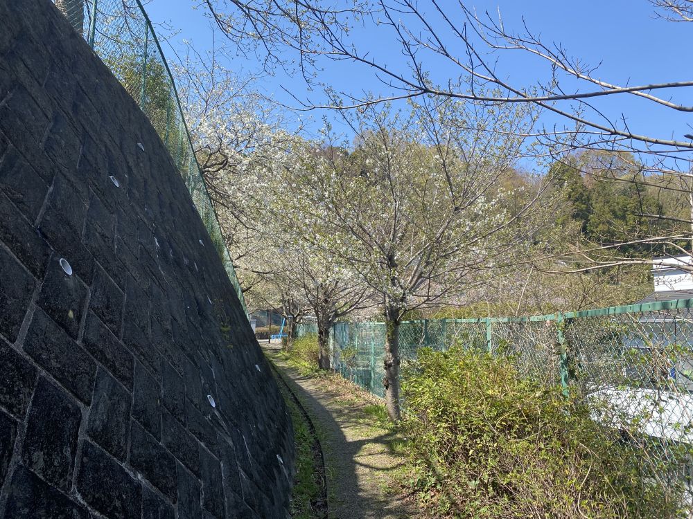 f:id:onsen222:20200325134013j:plain