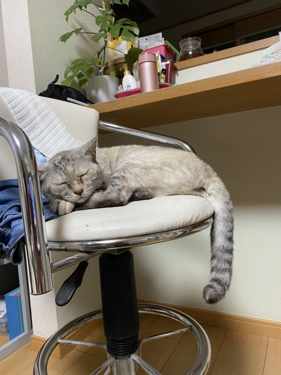 f:id:onsen222:20200716202018j:plain