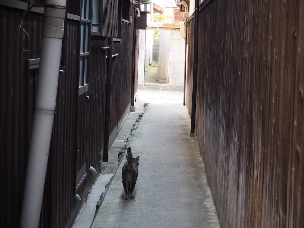 f:id:onsen56:20180730201857j:image