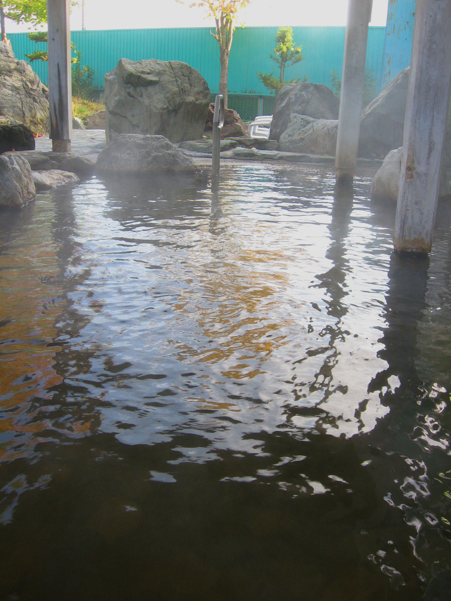 f:id:onsen_tabi1:20190515193640j:plain f:id:onsen_tabi1:20190515193640j:plain